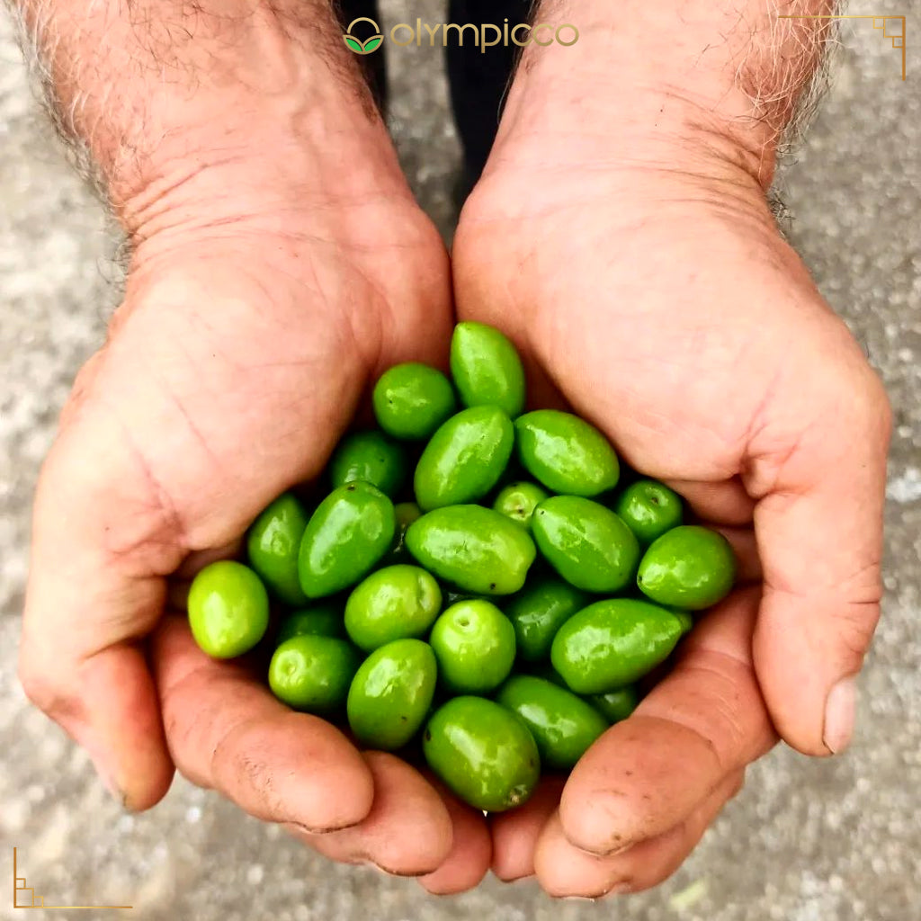 Omfakion Plus | Extra Virgin Olive Oil | Early Harvest 2024/25 | Extremely High Phenolic | 250ml