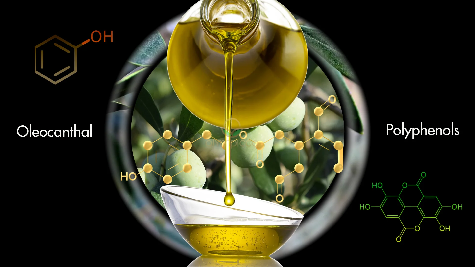 High-Phenolic Olive Oil