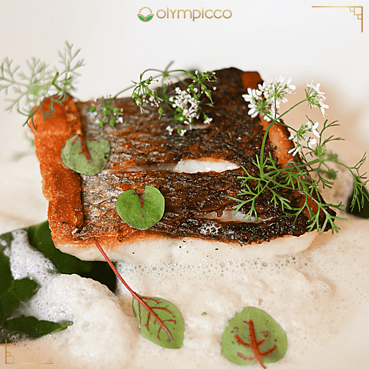 Grilled fish with herbs on a white background, featuring the Olympicco brand.